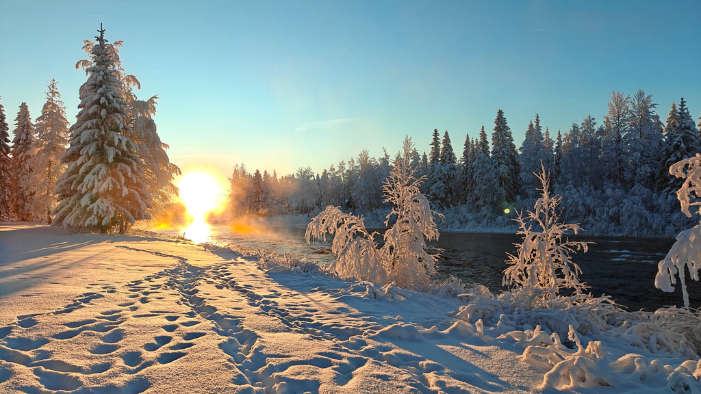 Villa Jokiranta - Northern lights riverside