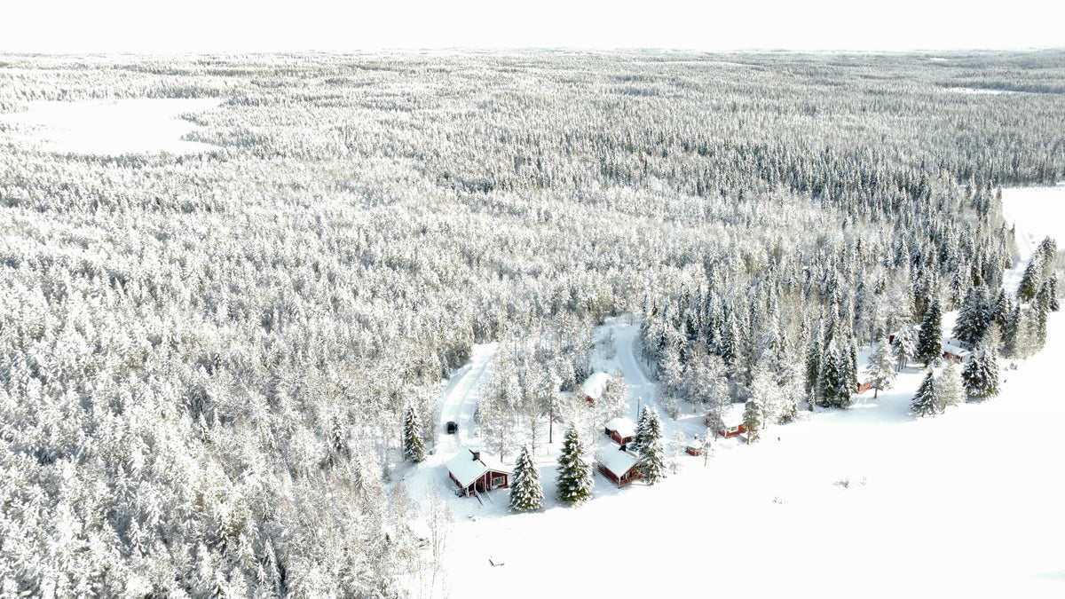 Villa Jokiranta - Northern lights riverside