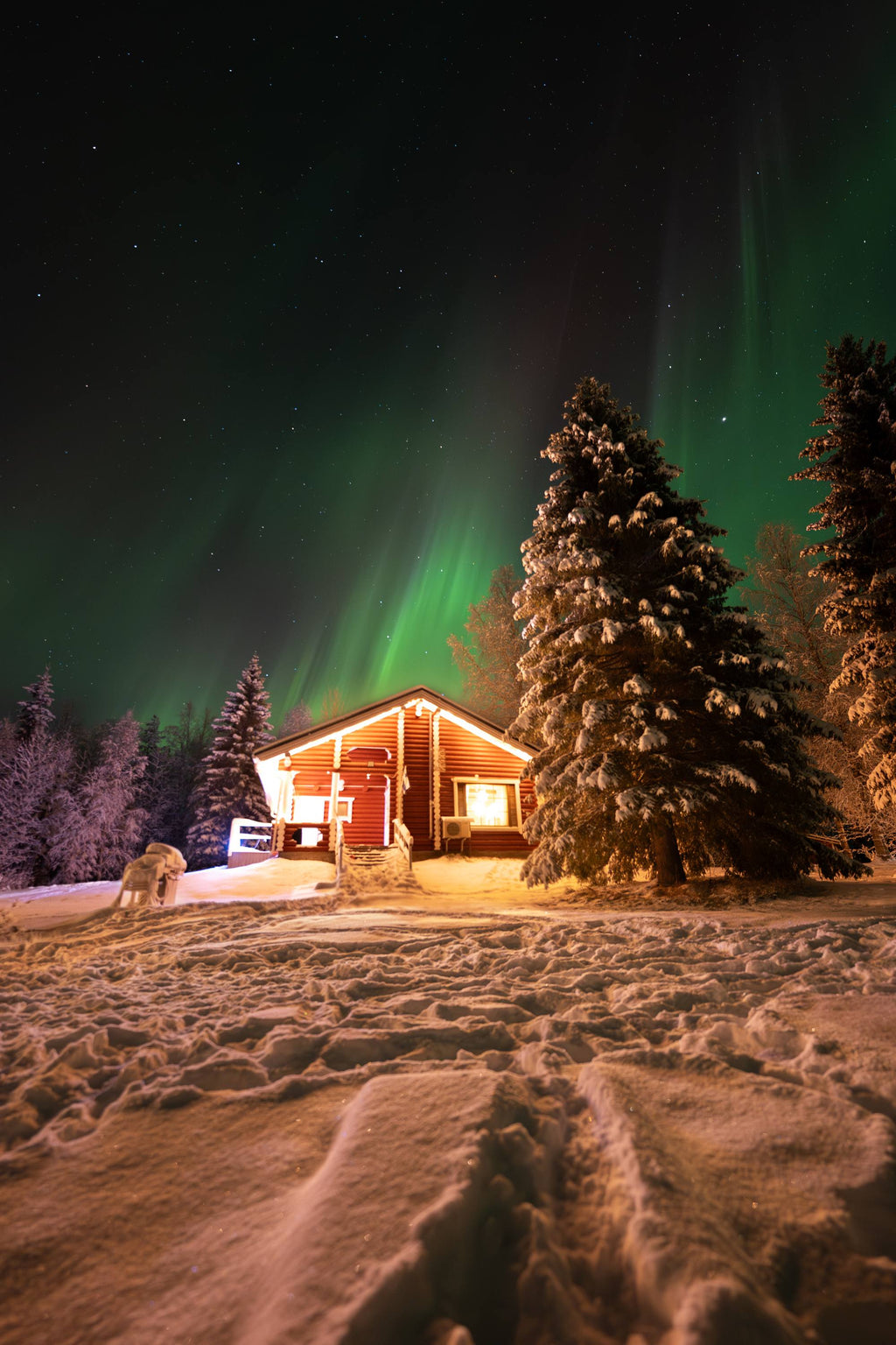Aurora beach accommodation in Ranua, Lapland