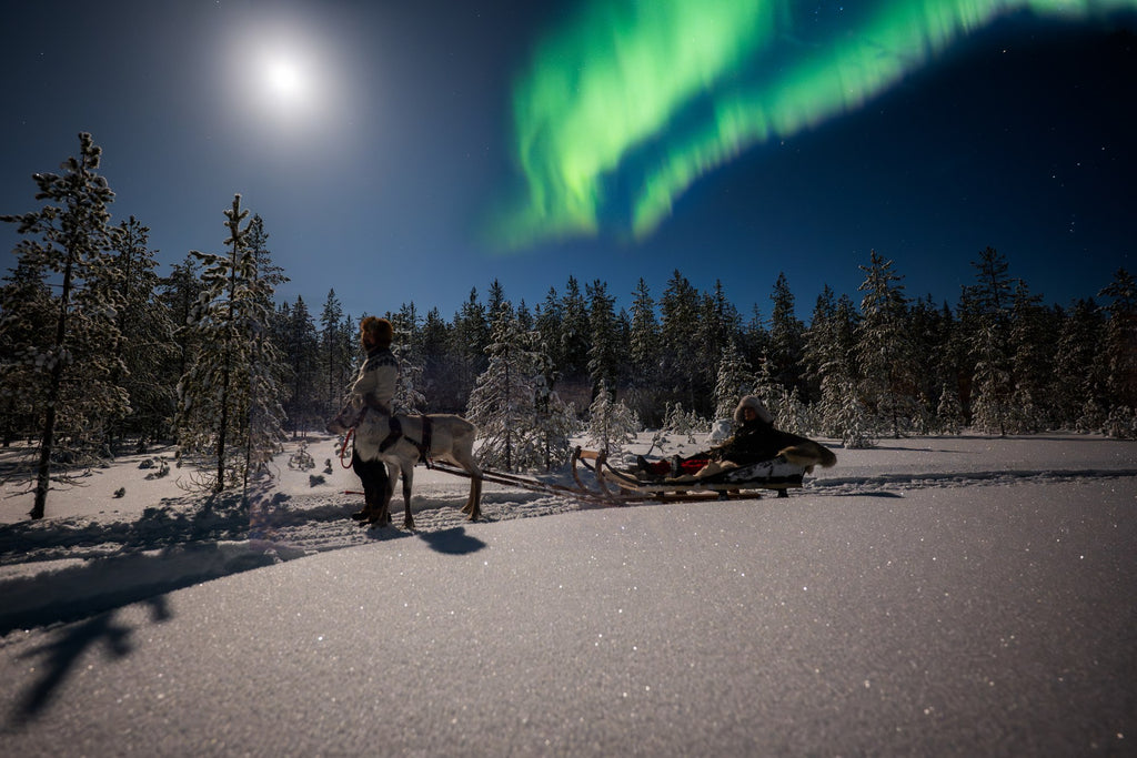 Reindeer riding activity in Ranua